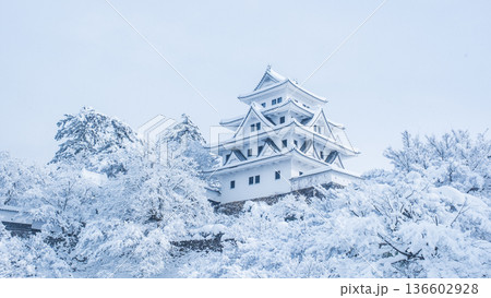 郡上八幡城(冬) 郡上八幡城(冬) 136602928