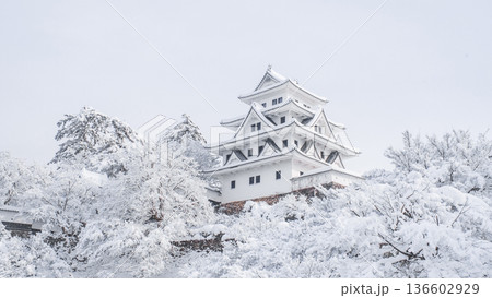 郡上八幡城（冬） 136602929