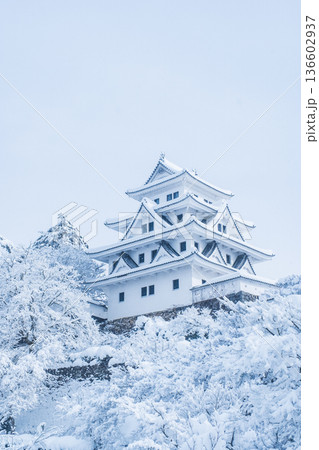 郡上八幡城（冬） 136602937