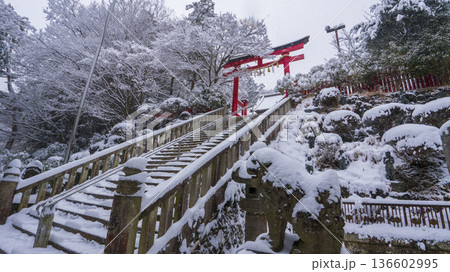 高尾山薬王院の御本社　雪景色　　 136602995