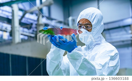 半導体工場でシリコンウエハーを検査する防護服を着た男性作業員 136603188