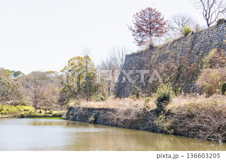 明石公園の石畳と池 136603205