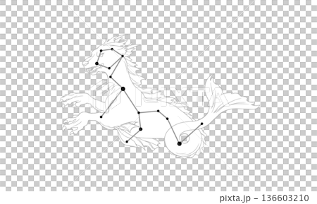 鯨魚座的單色線條畫 136603210
