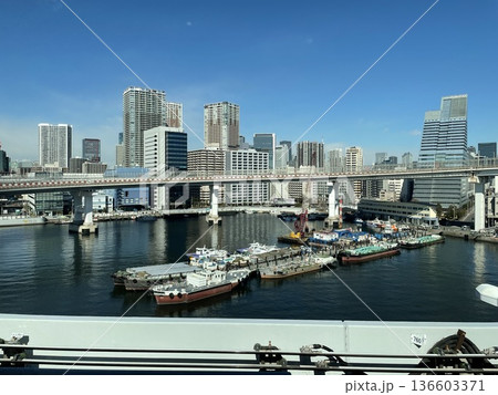 橋と高層ビル群が広がる東京ウォーターフロントの都市景観 136603371