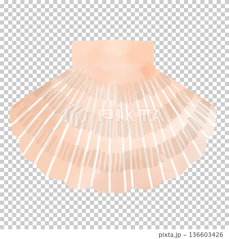 扇貝水彩插圖，吉祥物，日本海鮮素材 136603426