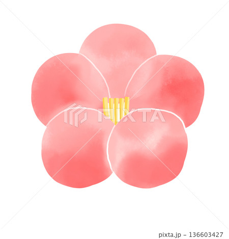 水彩風 練り切りの梅の和菓子 イラスト素材 水彩風 練り切りの梅の和菓子 イラスト素材 136603427