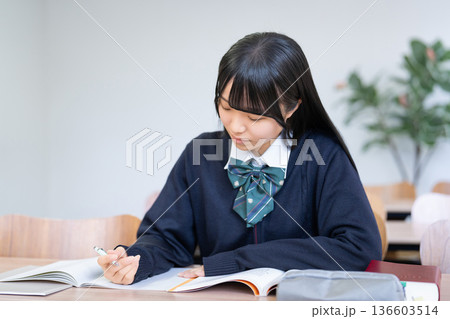 机に向かい真剣に勉強する女子高校生・受験生 136603514