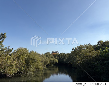 Scenario of Nature: Sicao Green Tunnel, Tainan, Taipei ,Taiwan 136603521