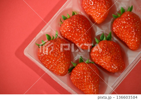 おいしいイチゴ おいしいイチゴ 136603584