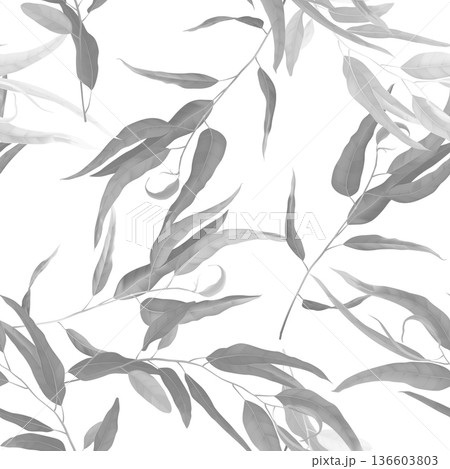 Foliage seamless pattern, black and white eucalyptus leaves on white Foliage seamless pattern, black and white eucalyptus leaves on white 136603803