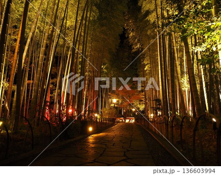 夜の修善寺温泉 夜の修善寺温泉 136603994