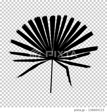 Palm tree leaf silhouette Palm tree leaf silhouette 136604115