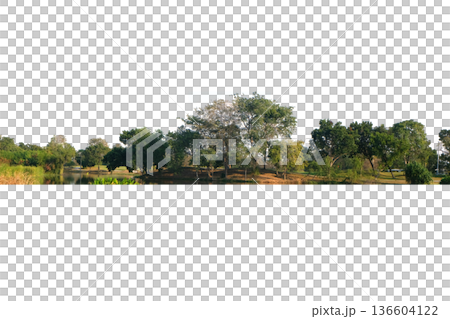 View of a High definition Treeline 136604122