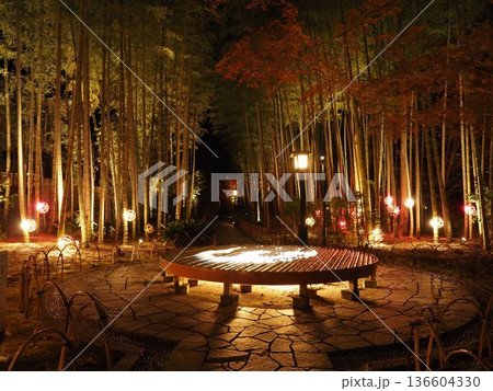 夜の修善寺温泉 夜の修善寺温泉 136604330