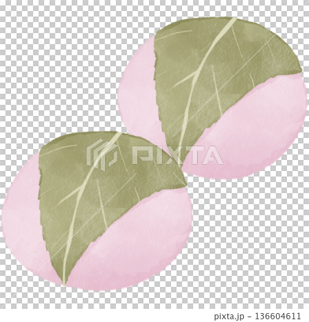 水彩風の桜餅｜春の和菓子・道明寺・長命寺・花見・ひな祭り 136604611