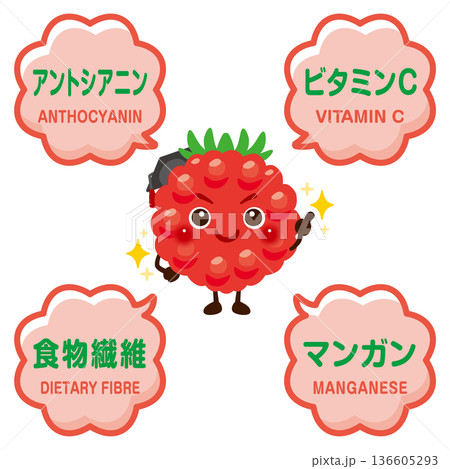 ラズベリーのキャラクターとラズベリーに含まれる成分イラスト ラズベリーのキャラクターとラズベリーに含まれる成分イラスト 136605293