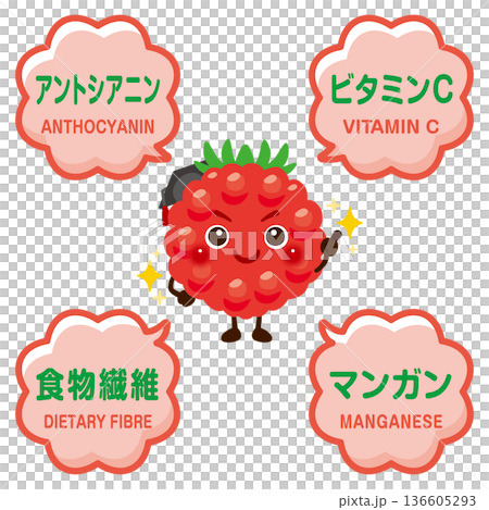 ラズベリーのキャラクターとラズベリーに含まれる成分イラスト ラズベリーのキャラクターとラズベリーに含まれる成分イラスト 136605293