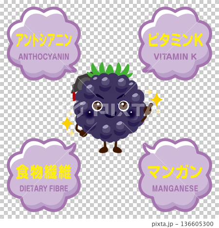 黑莓圖像插圖及黑莓成分 黑莓圖像插圖及黑莓成分 136605300