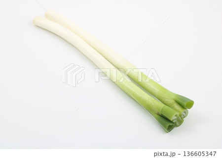 冬の味覚を代表する瑞々しい白ネギの姿 冬の味覚を代表する瑞々しい白ネギの姿 136605347