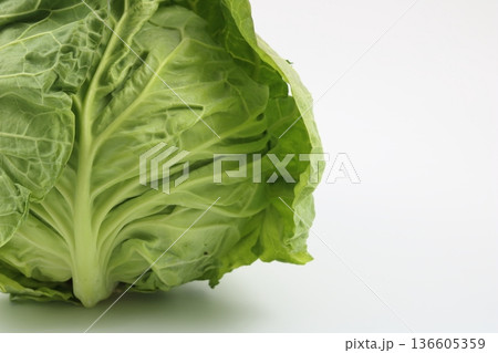 旬の春キャベツ丸ごと一玉白背景 136605359