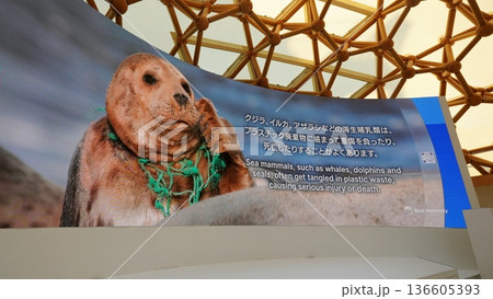 2025 大阪・関西万博　ブルーオーシャンドーム・パビリオン展示 136605393