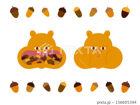 食いしん坊なリスのイラスト素材 食いしん坊なリスのイラスト素材 136605394