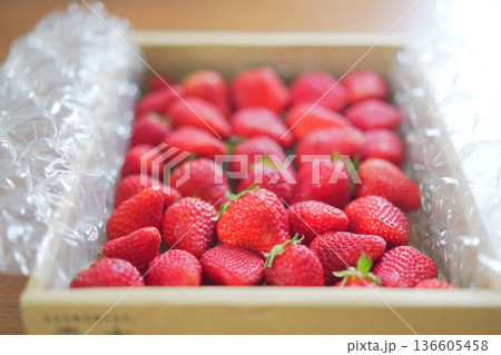 箱詰めされた大粒のイチゴ 136605458