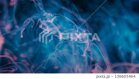 Defocused fog fluid. Ink haze. Blue pink color dye dripping in water stream. Abstract swirl vapor glow curl floating on black background. 136605464