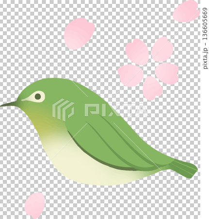 桜とメジロのベクターイラスト 春の和風フラワーと小鳥の素材 桜とメジロのベクターイラスト 春の和風フラワーと小鳥の素材 136605669