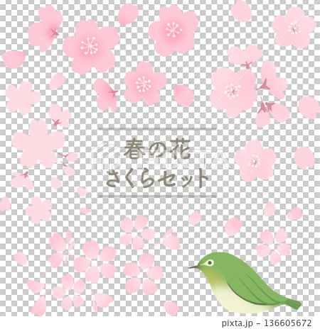 桜の花とメジロのイラストセット　春の和風ベクター素材集 136605672