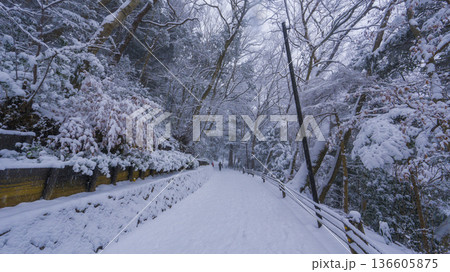 高尾山の一号路 雪景色 高尾山の一号路 雪景色 136605875