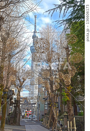 東京スカイツリーと牛嶋神社竹細工 東京下町 墨田区向島 東京スカイツリーと牛嶋神社竹細工 東京下町 墨田区向島 136606173