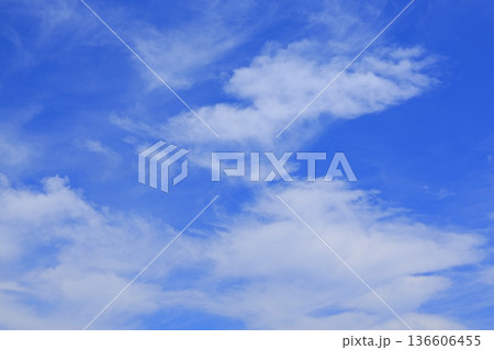 爽やかな青空 爽やかな青空 136606455