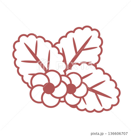かわいい苺のイラスト素材 かわいい苺のイラスト素材 136606707
