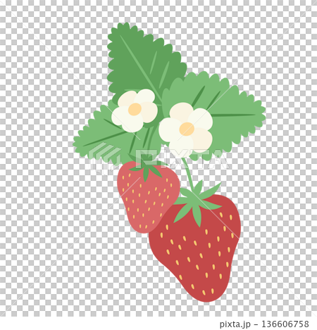 Illustration material of cute strawberry 136606758