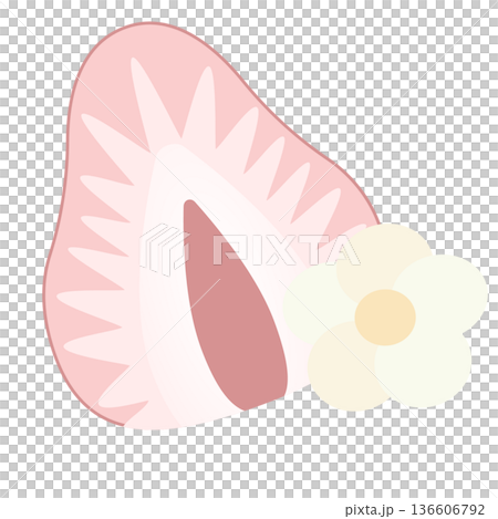 かわい苺のイラスト素材 136606792