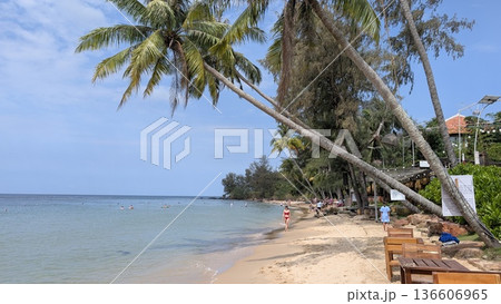 ヤシの木のあるビーチ3 136606965
