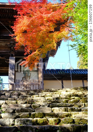 秋の神護寺の山門 秋の神護寺の山門 136607199