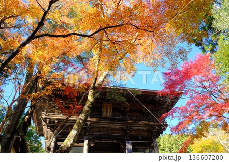 秋の神護寺の山門 136607200