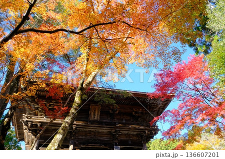 秋の神護寺の山門 秋の神護寺の山門 136607201