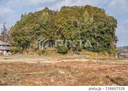 高取町の田園風景 奈良県高市郡 高取町の田園風景 奈良県高市郡 136607326