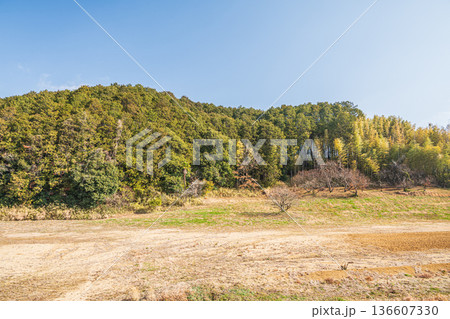 高取町の田園風景　奈良県高市郡 136607330