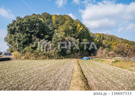 高取町の田園風景　奈良県高市郡 136607333