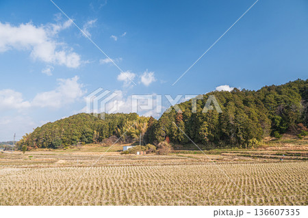 高取町の田園風景　奈良県高市郡 136607335