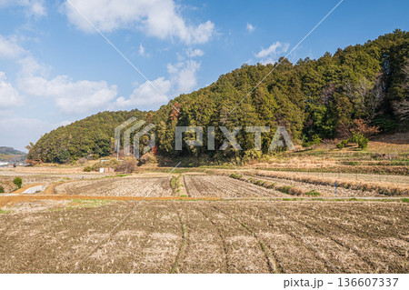 高取町の田園風景　奈良県高市郡 136607337