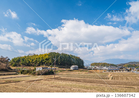 高取町の田園風景 奈良県高市郡 高取町の田園風景 奈良県高市郡 136607342