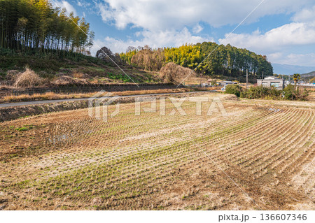 高取町の田園風景 奈良県高市郡 高取町の田園風景 奈良県高市郡 136607346