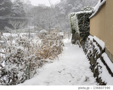 雪が積もる細道 136607390