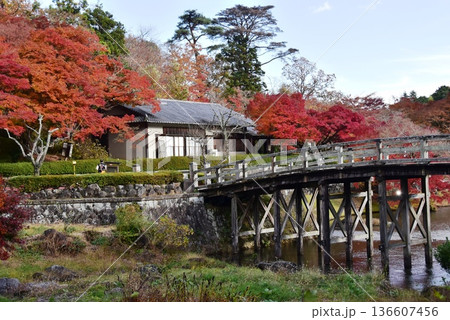 伊豆市　修善寺虹の郷修善寺虹の郷日本庭園錦橋と色鮮やかな紅葉 136607456
