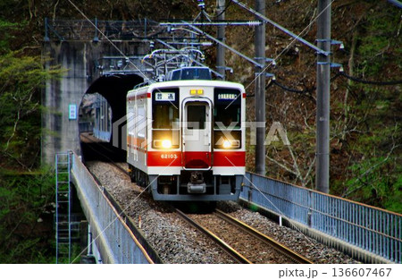 芽吹きの春を迎えた奥鬼怒路を行く… 川治湯元駅にて『6050系』 136607467